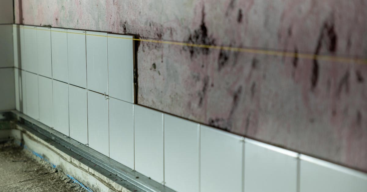 Cover Image for Mold Remediation Costs: What Homeowners Actually Pay Out of Pocket
