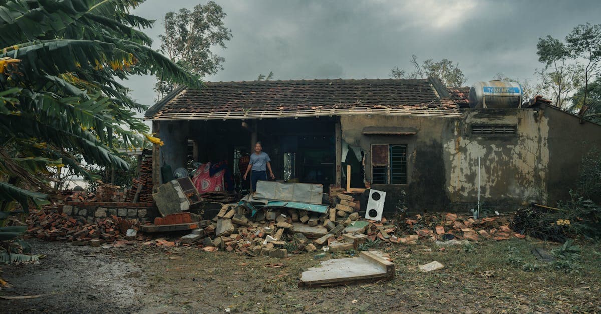 Cover Image for Fallen Trees After a Storm: What Your Insurance Covers