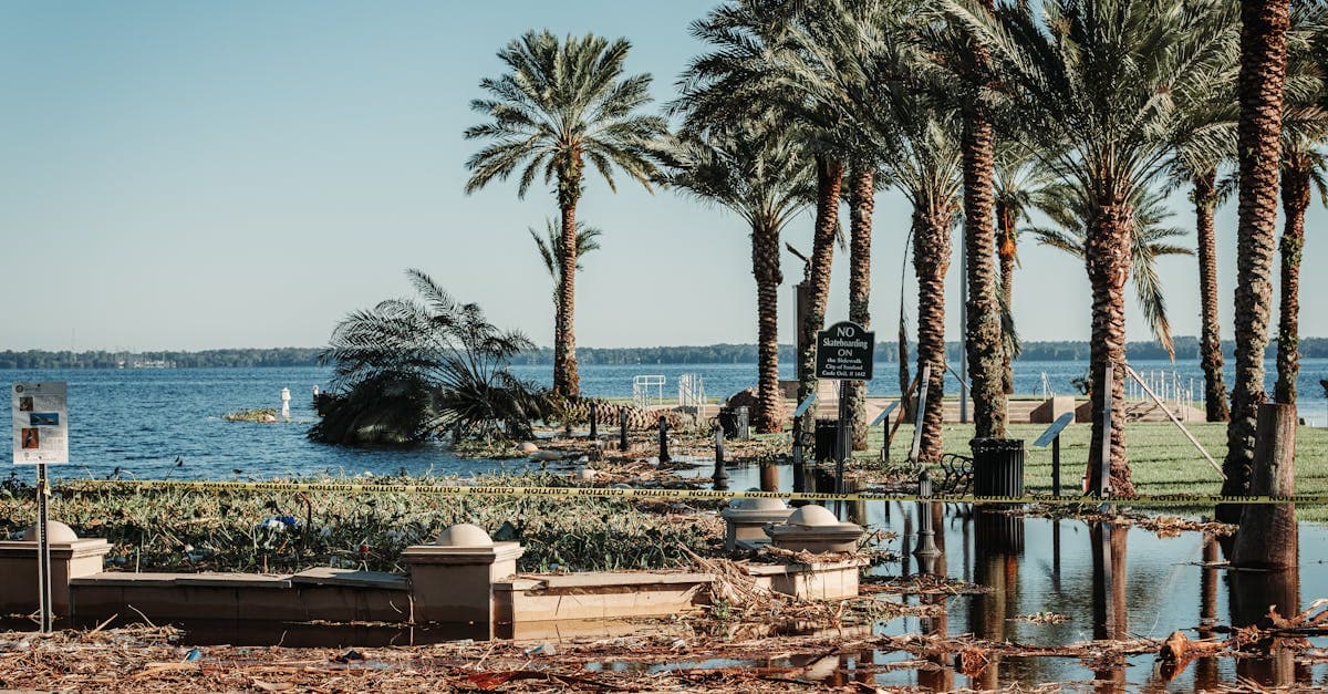 Cover Image for What Happens After You Meet Your Florida Hurricane Deductible