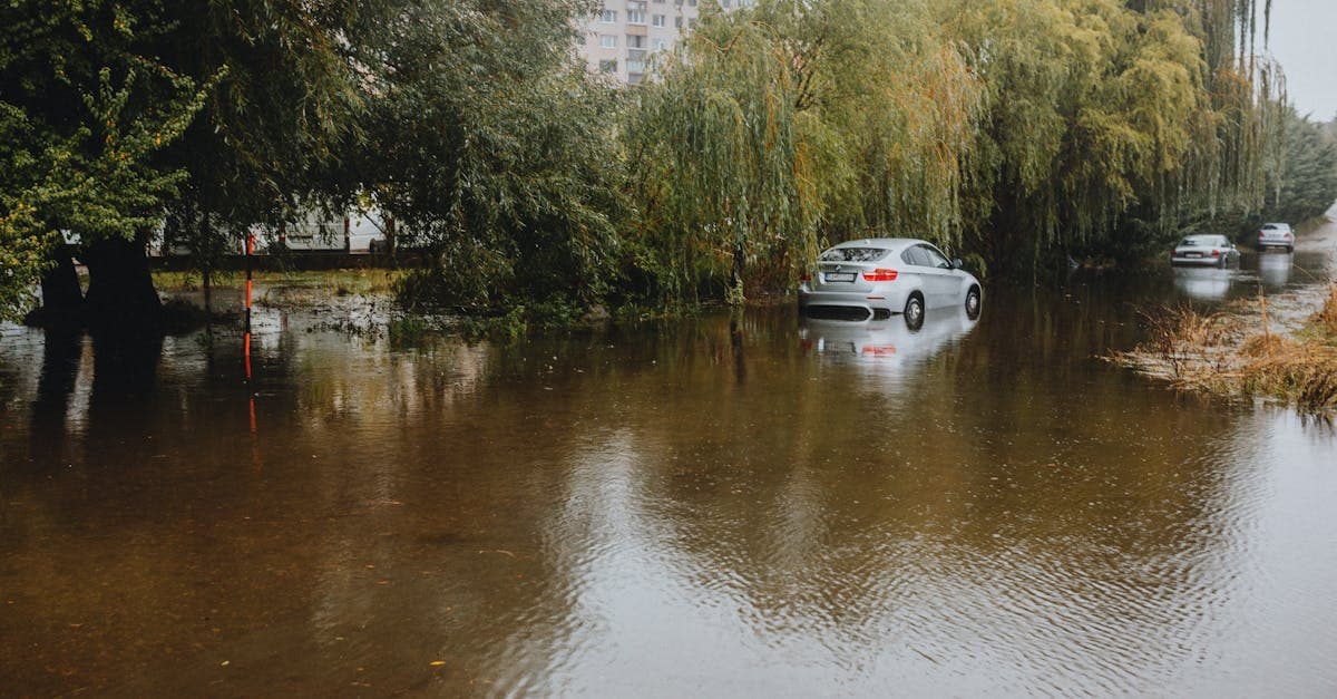 The True Cost of Flood Damage to a Renter's Belongings