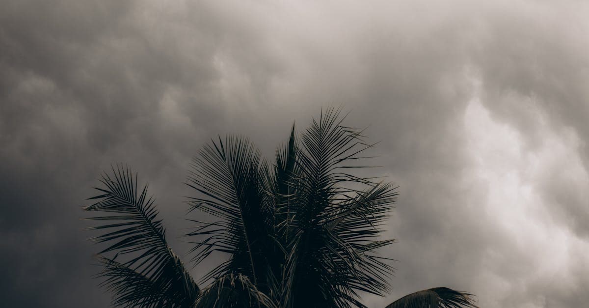 Back-to-Back Hurricanes: What Happens to Your Deductible the Second Time?
